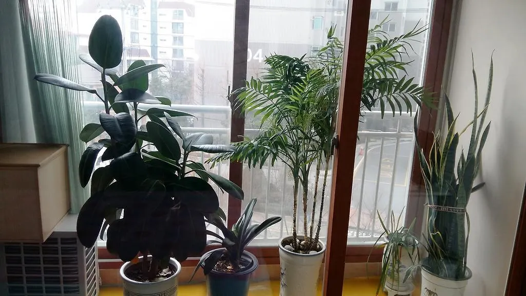 Apartment Ferienwohnung Happy Day Family Seoul Südkorea